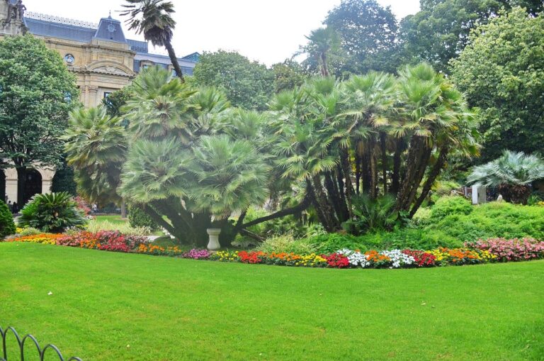 Comment optimiser la protection de votre jardin ?